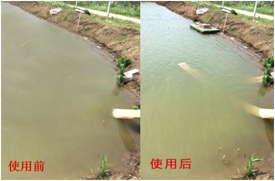 渾濁水、對(duì)蝦吃料差怎么處理？